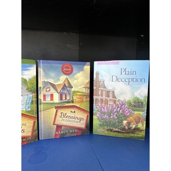 3 book lot!! Including Where Hope Dwells by Elizabeth Ludwig (2023, Hardcover) - Picture 3 of 12